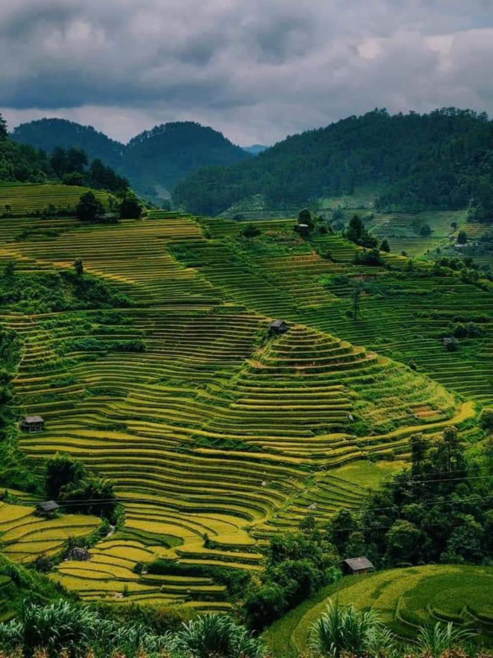 Mu Cang Chai Eco Home Exteriör bild