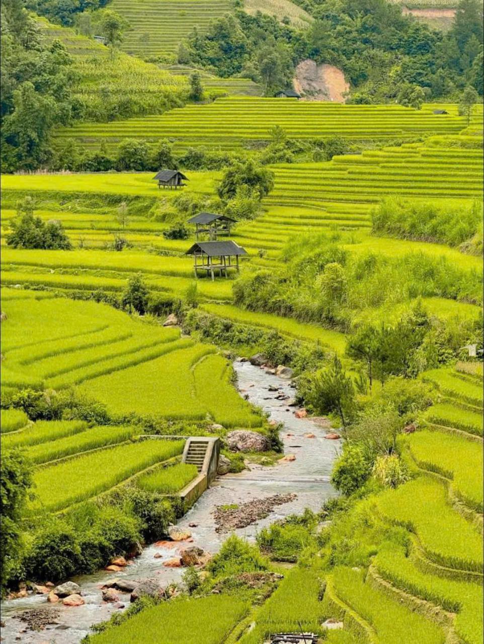 Mu Cang Chai Eco Home Exteriör bild