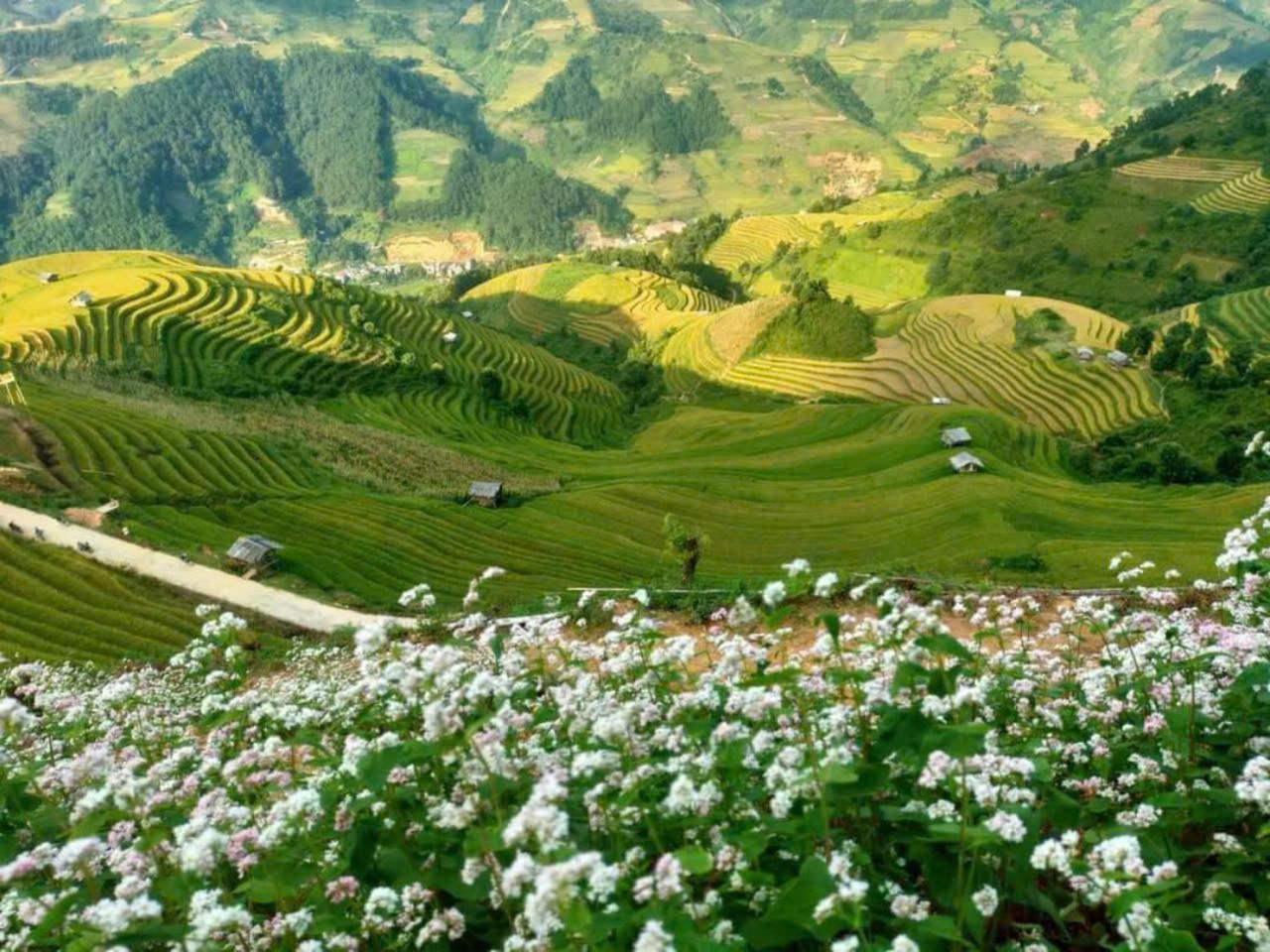 Mu Cang Chai Eco Home Exteriör bild
