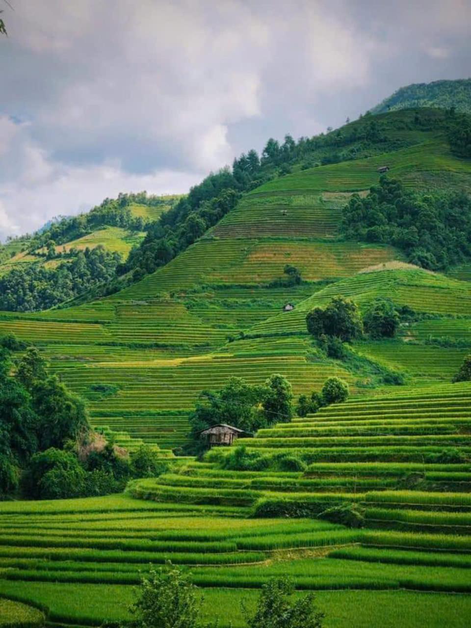 Mu Cang Chai Eco Home Exteriör bild