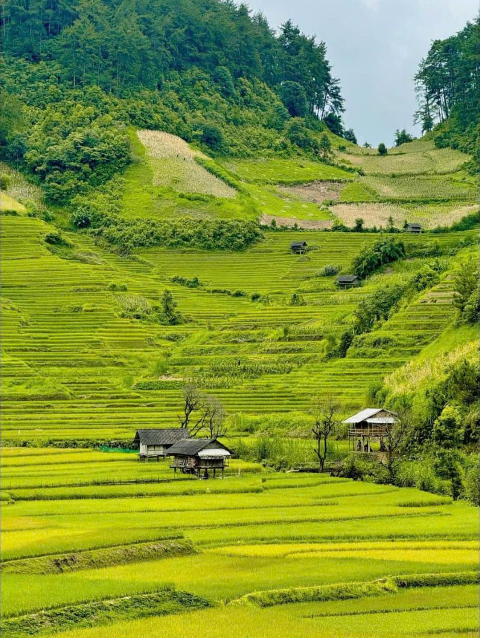 Mu Cang Chai Eco Home Exteriör bild