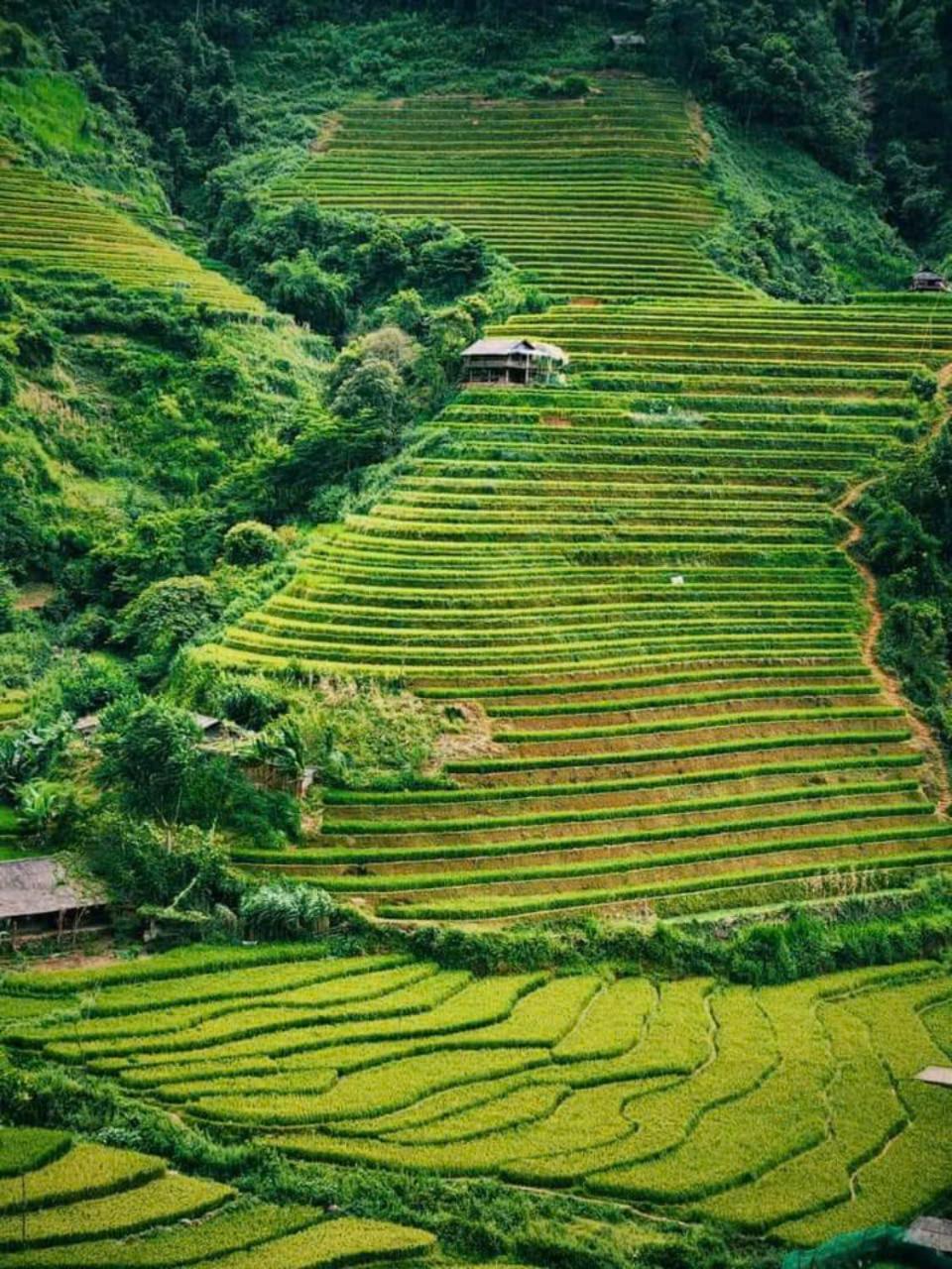 Mu Cang Chai Eco Home Exteriör bild